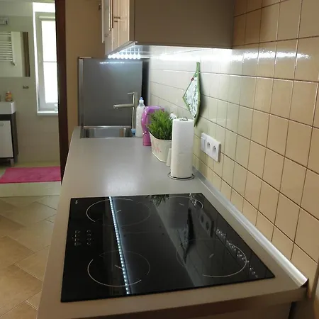 アパート Oliwia *